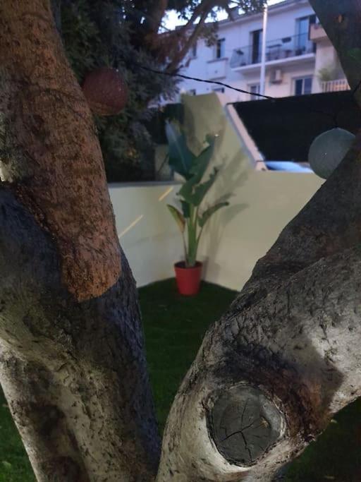 Superbe Appartement Avec Jacuzzi Et Exterieur Perpignan Luaran gambar